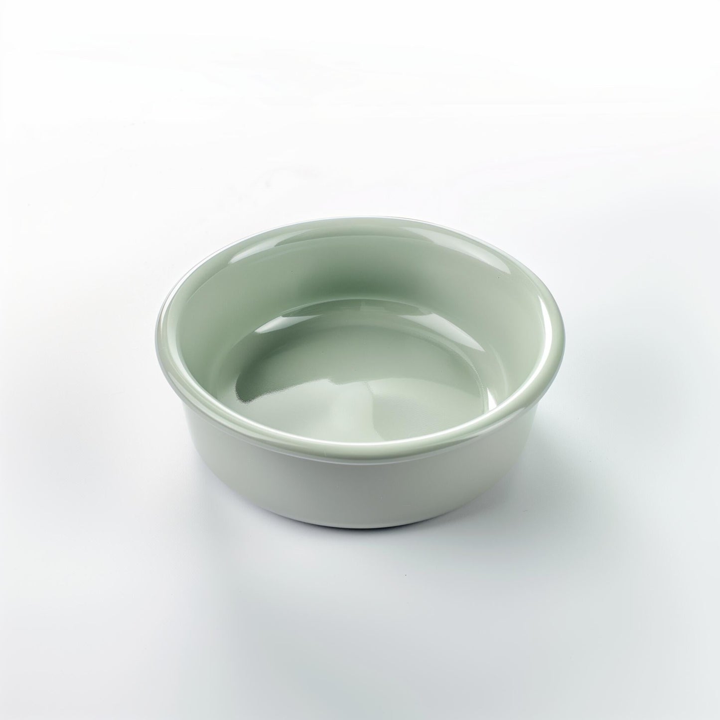 Glass Pet Bowl